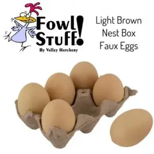 Nest Box Faux Eggs