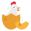icons8 chick 64