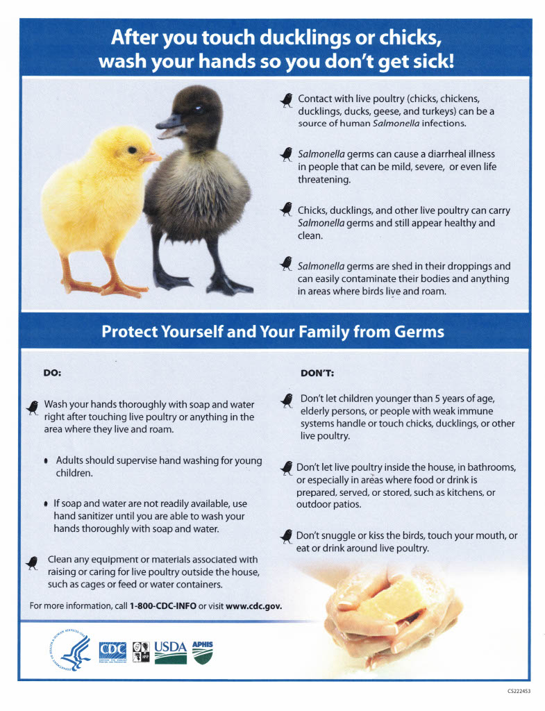 Safe Handling of Poultry Sheet1024 1