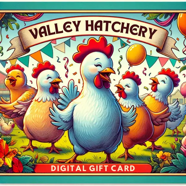 VH Digital Gift Card